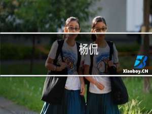 杨侃(关于杨侃的简介)