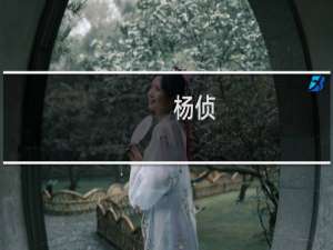 杨侦(关于杨侦的简介)