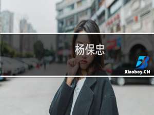 杨保忠(关于杨保忠的简介)