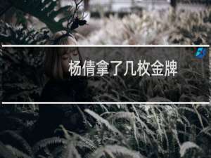 杨倩拿了几枚金牌