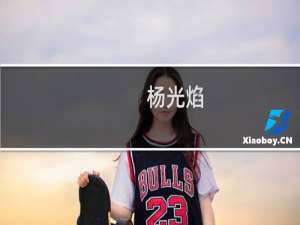 杨光焰(关于杨光焰的简介)