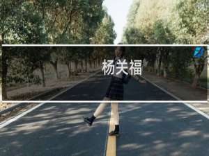 杨关福(关于杨关福的简介)