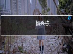 杨兴栋(关于杨兴栋的简介)