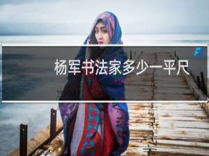 杨军书法家多少一平尺