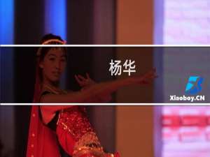 杨华(关于杨华的简介)
