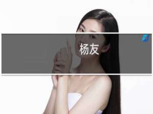 杨友(关于杨友的简介)