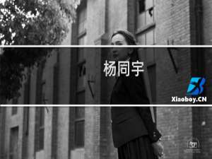 杨同宇(关于杨同宇的简介)