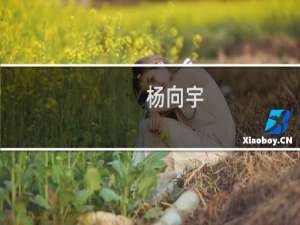 杨向宇(关于杨向宇的简介)
