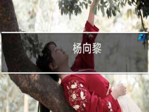 杨向黎(关于杨向黎的简介)