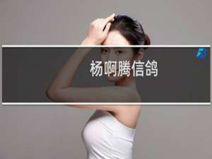 杨啊腾信鸽