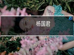杨国君(关于杨国君的简介)