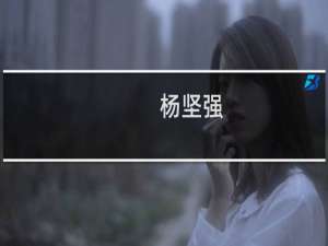 杨坚强(关于杨坚强的简介)