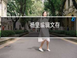 杨坚编辑文存(关于杨坚编辑文存的简介)