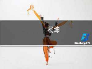 杨坤(关于杨坤的简介)