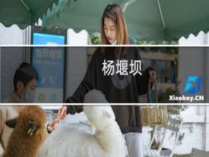 杨堰坝(关于杨堰坝的简介)