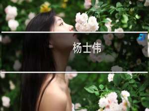 杨士伟(关于杨士伟的简介)