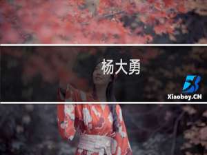 杨大勇(关于杨大勇的简介)