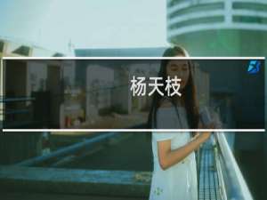 杨天枝(关于杨天枝的简介)