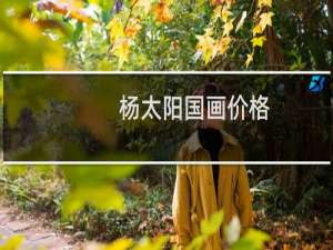 杨太阳国画价格