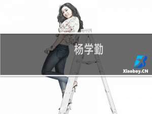 杨学勤(关于杨学勤的简介)