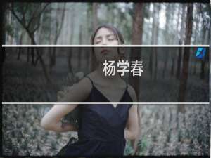 杨学春(关于杨学春的简介)