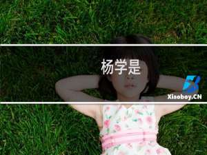 杨学是(关于杨学是的简介)