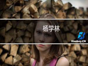 杨学林(关于杨学林的简介)