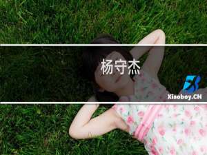 杨守杰(关于杨守杰的简介)
