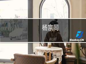 杨宗同(关于杨宗同的简介)