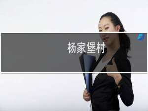 杨家堡村(关于杨家堡村的简介)