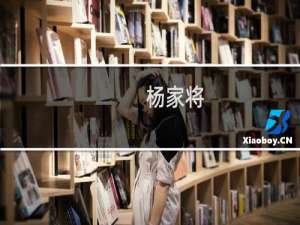 杨家将(关于杨家将的简介)