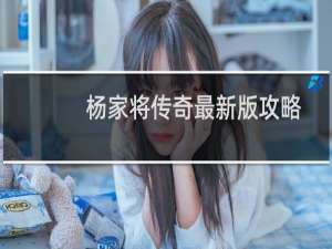 杨家将传奇最新版攻略