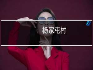 杨家屯村(关于杨家屯村的简介)