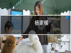 杨家横(关于杨家横的简介)