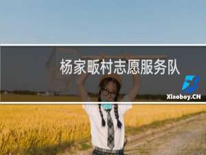 杨家畈村志愿服务队(关于杨家畈村志愿服务队的简介)