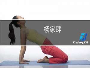 杨家畔(关于杨家畔的简介)