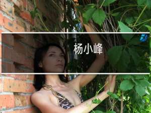 杨小峰(关于杨小峰的简介)