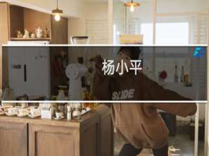 杨小平(关于杨小平的简介)