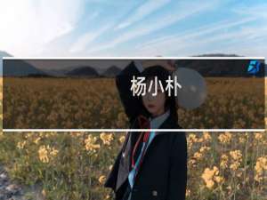 杨小朴(关于杨小朴的简介)