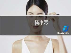 杨小琴(关于杨小琴的简介)