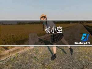 杨小空(关于杨小空的简介)