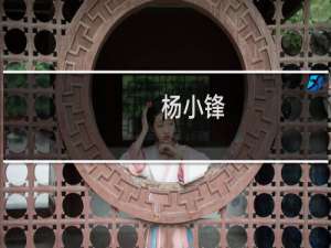 杨小锋(关于杨小锋的简介)