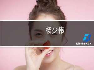 杨少伟(关于杨少伟的简介)
