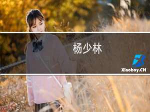 杨少林(关于杨少林的简介)