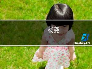 杨尧(关于杨尧的简介)
