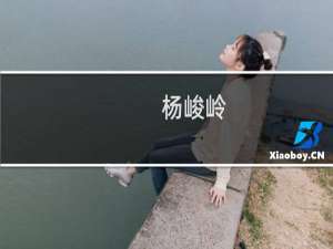 杨峻岭(关于杨峻岭的简介)