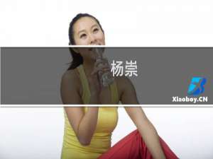 杨崇(关于杨崇的简介)