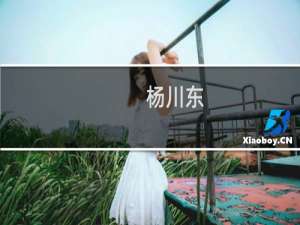 杨川东(关于杨川东的简介)