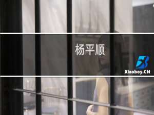 杨平顺(关于杨平顺的简介)