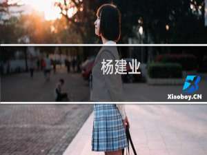 杨建业(关于杨建业的简介)